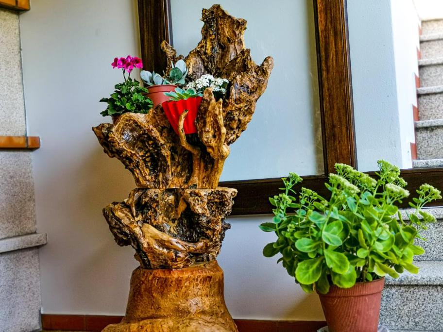 Casa Carolina Guest House Vila Seca  Екстериор снимка